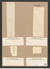 Pleurosigma acuminatum (Kuetz) Grun. (de-Toni-Nr.: Genus 13, Species 1075) Zeichnungen Sammlung Grunow Nr. 1948 (NHMW-BOT-W0369084)